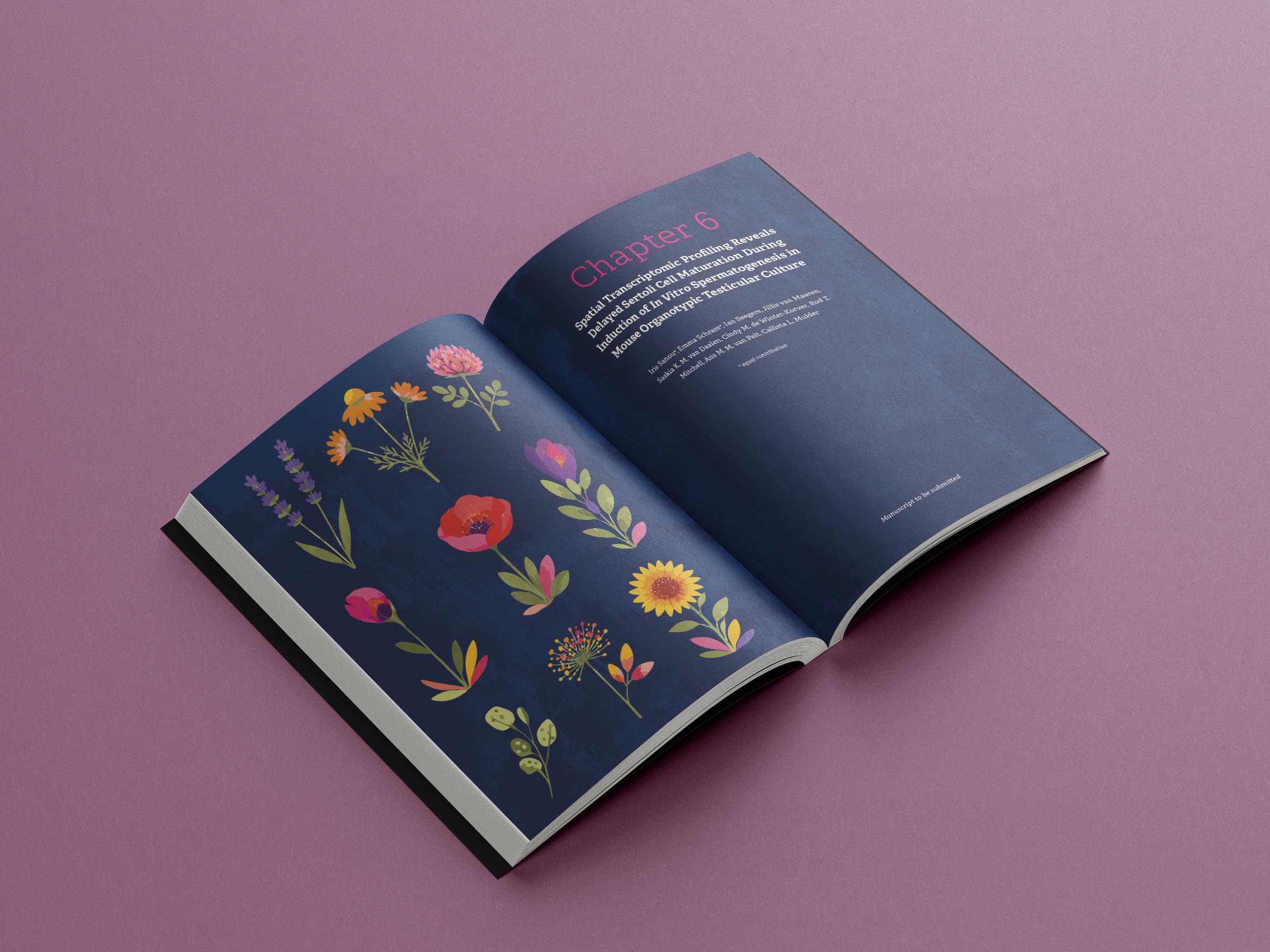 Iris Sanou, UMC Amsterdam. |  Beeld: studio t-k-s  |  Binnenwerk layout: Erwin Timmermans